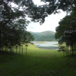 A view of iconic Periyar lake with dry tree stumps (© Mr. Sunil. C.G.)