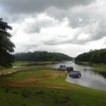 A view of iconic Periyar lake with dry tree stumps (© Mr. Sunil. C.G.)