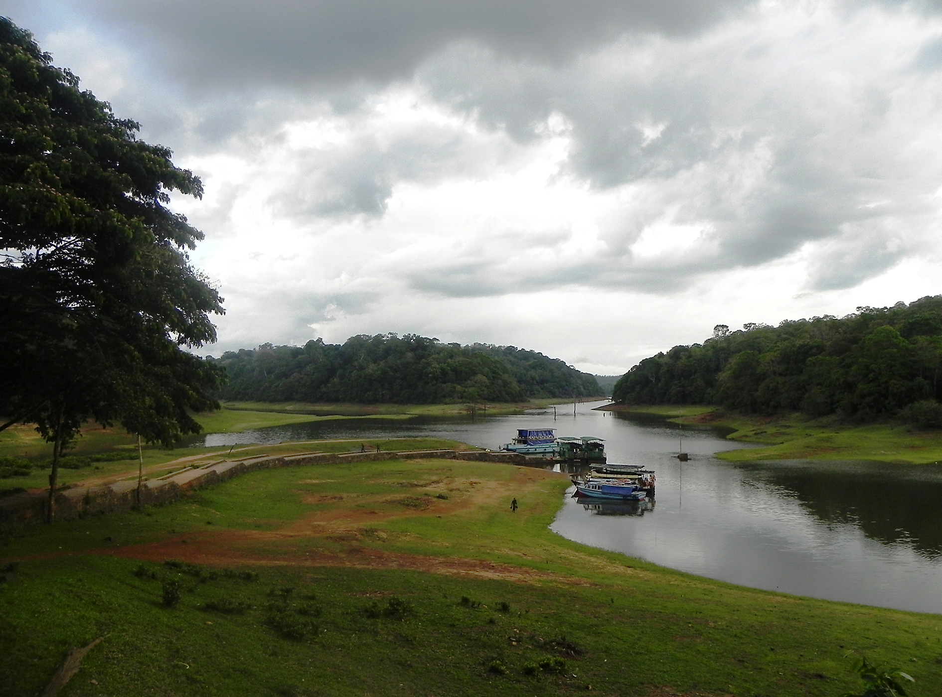 A view of iconic Periyar lake with dry tree stumps (© Mr. Sunil. C.G.)