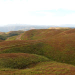 View of some of the grasslands of Western Ghats (© Mr. Sunil. C.G.)