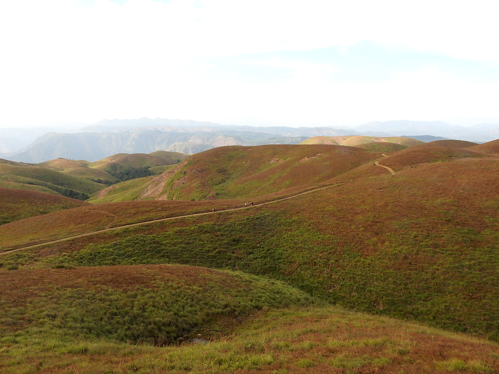 View of some of the grasslands of Western Ghats (© Mr. Sunil. C.G.)