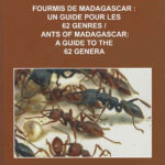 Madagascar ant guide cover