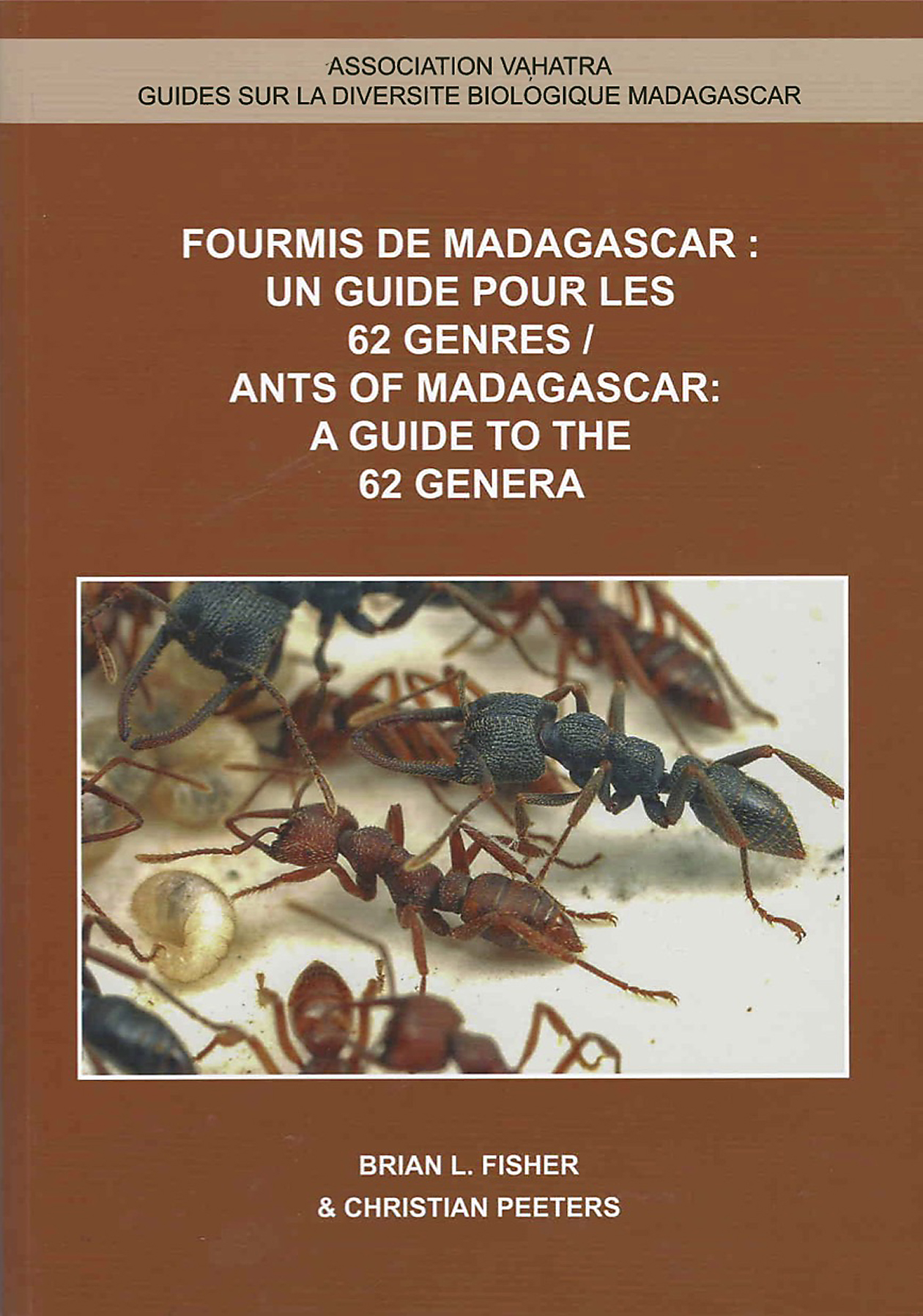 Madagascar ant guide cover