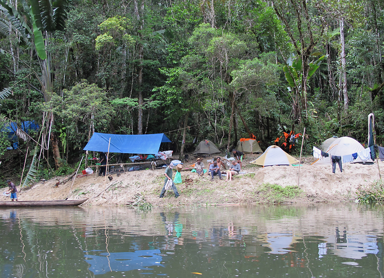 One of our camps in the middle of a pristine lowland forest. (© Brian Fisher)