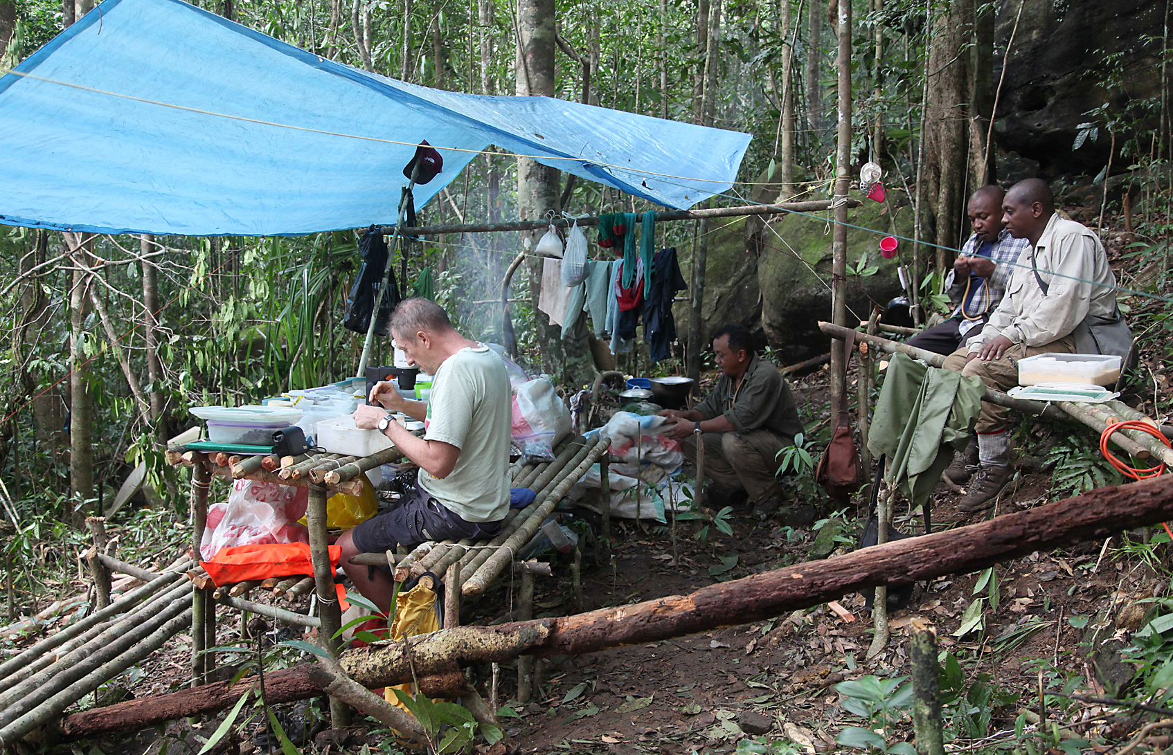 Our laboratory at 500 m altitude in Galoka moist forest. (© Brian Fisher)
