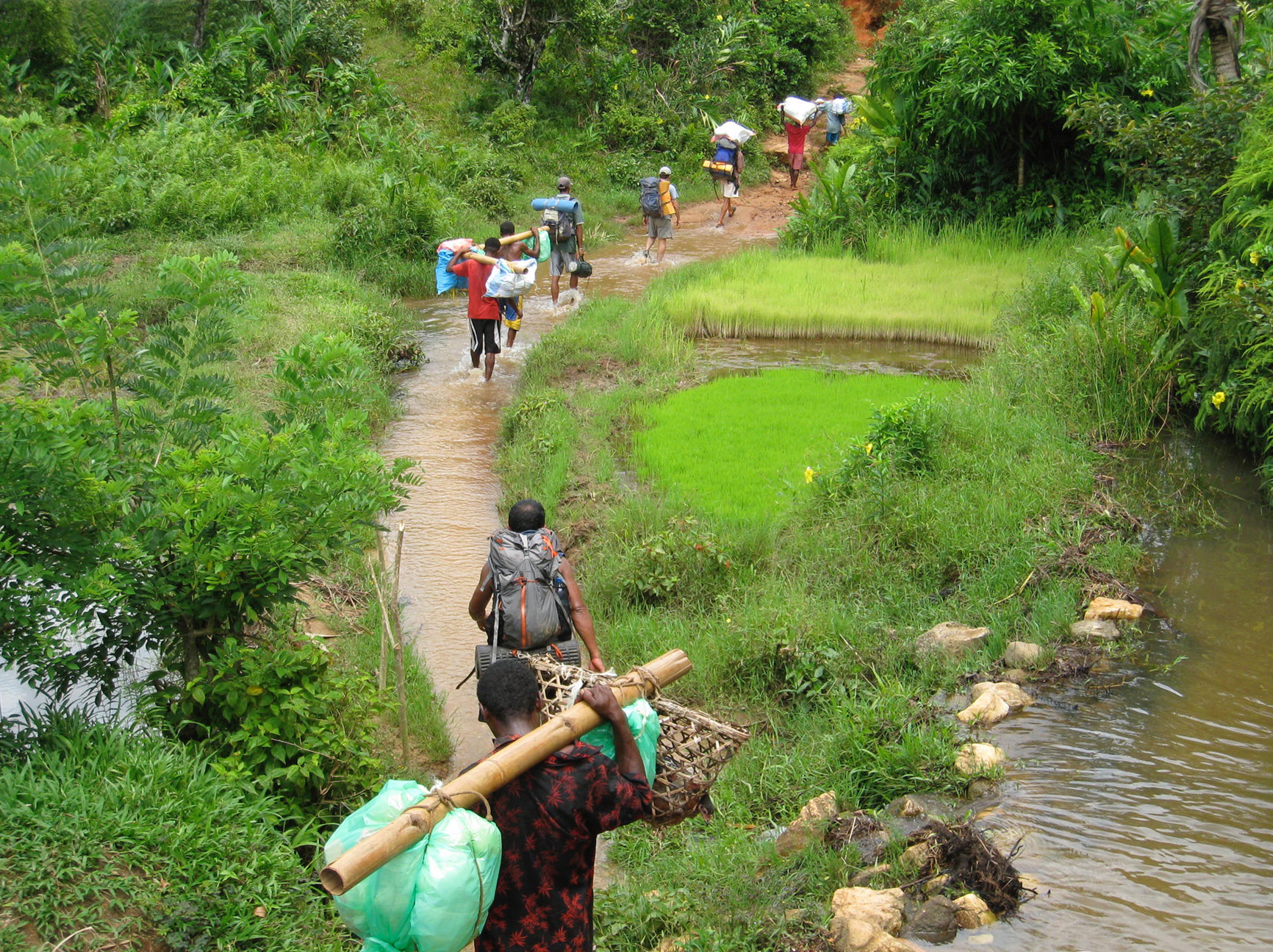 Long hikes until reaching the nests of the ants... (© Brian Fisher)