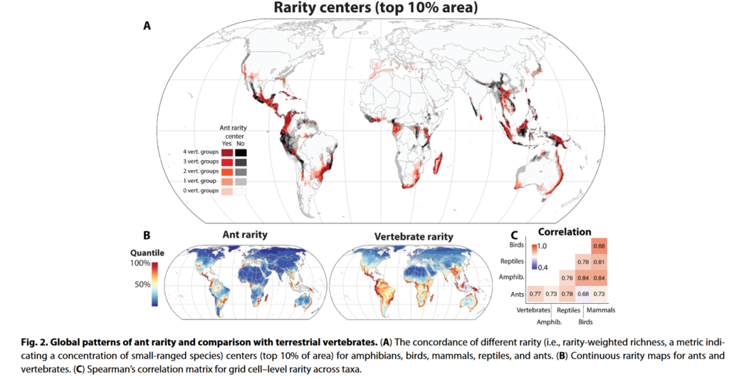 The First High-resolution Global Map Of Ant Biodiversity And Estimates ...